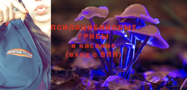 скорость Белокуриха